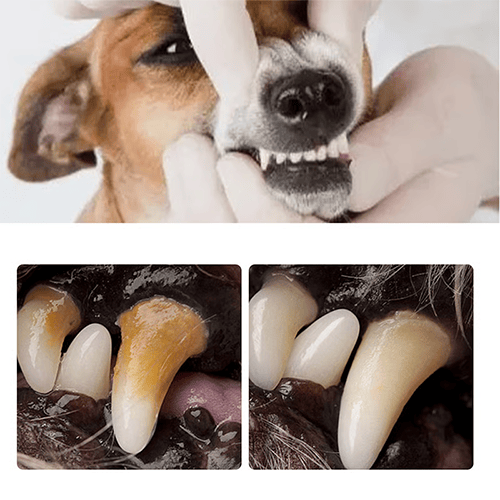 Helps Loosen Stubborn Tartar